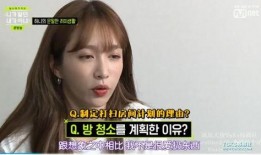 韩娱某爱豆爆料视频大全,视频大全背后的惊人真相