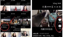 海利电梯爆料视频播放,行业内幕大曝光